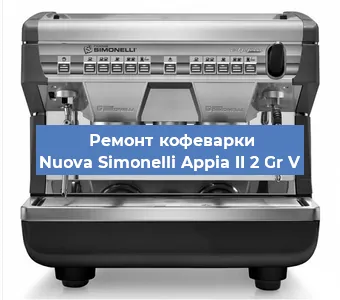 Замена прокладок на кофемашине Nuova Simonelli Appia II 2 Gr V в Перми